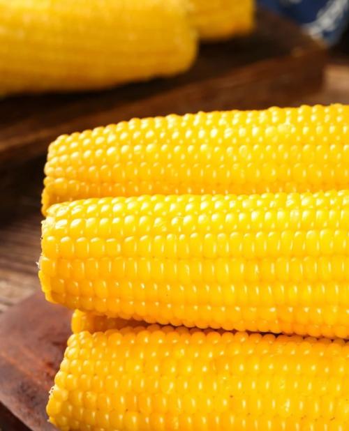 晚上只吃玉米可以减肥吗