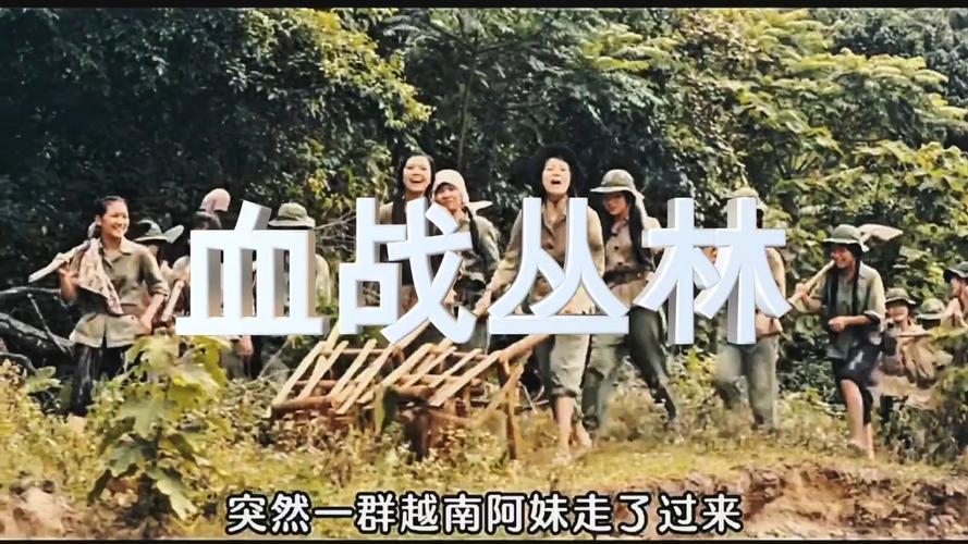 2026血战丛林免费观看