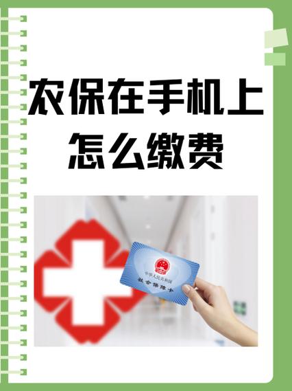 农保是什么时候开始交的