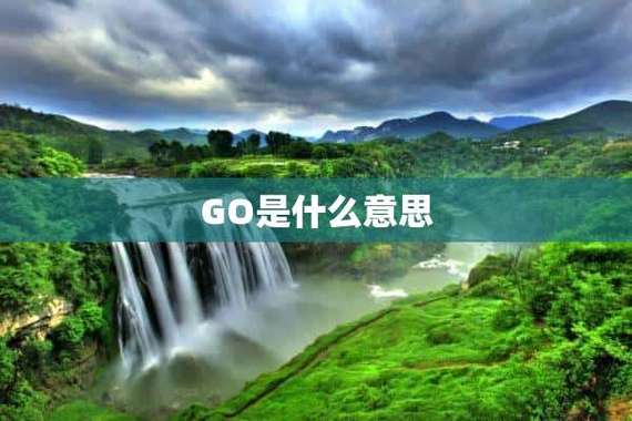 go怎么翻译