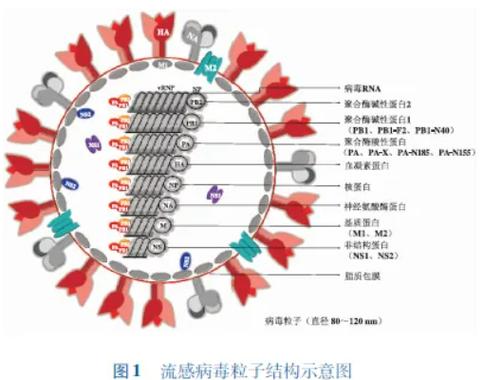 感染模式在哪里