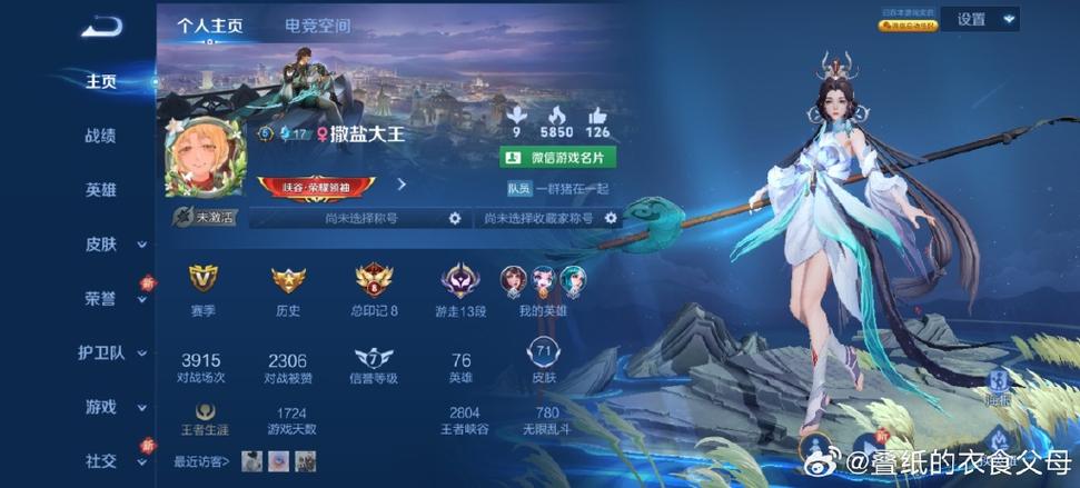 王者里的v5得多少钱