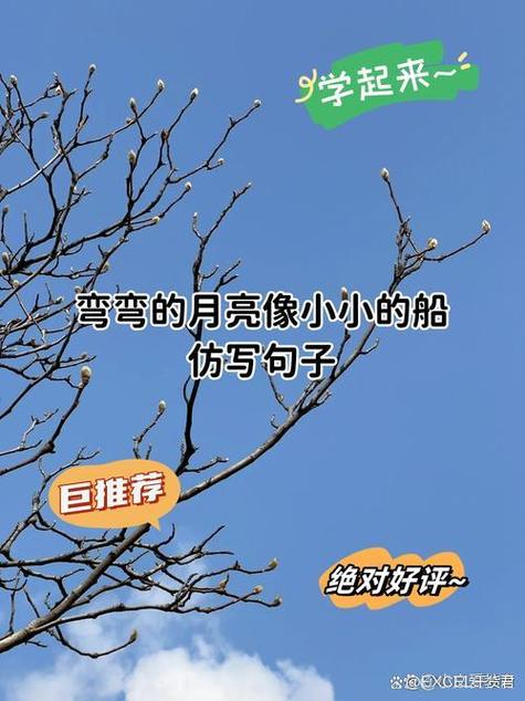 夸人敏锐观察力强的句子