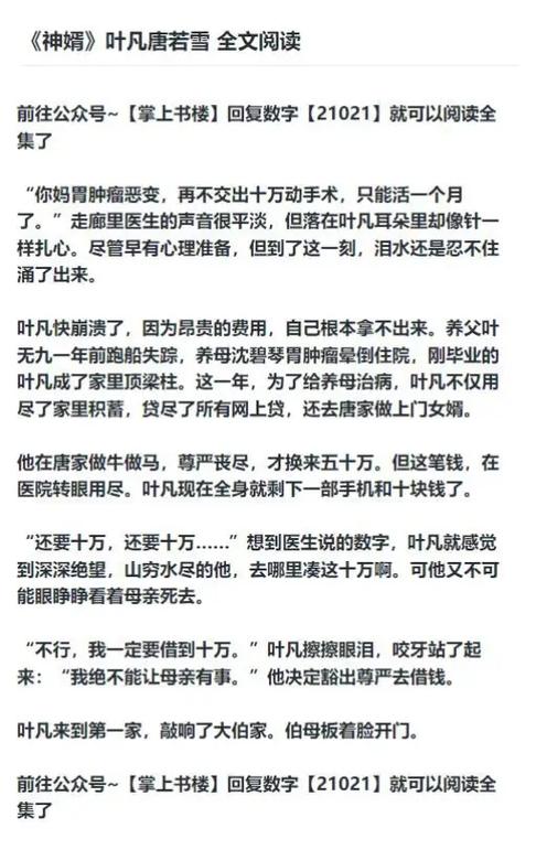 叶凡作品集