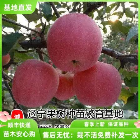 苹果平板充电一直是红色