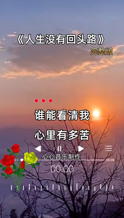 歌曲我心里有多苦完整版