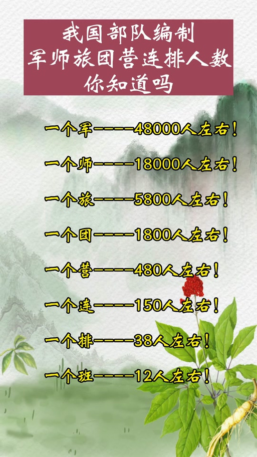 一个连大约多少人