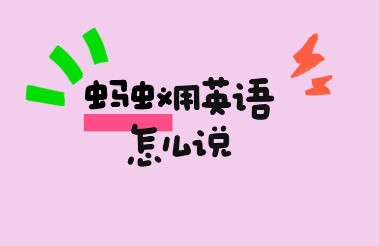 ant的发音