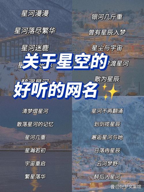 有个歌名叫什么星记
