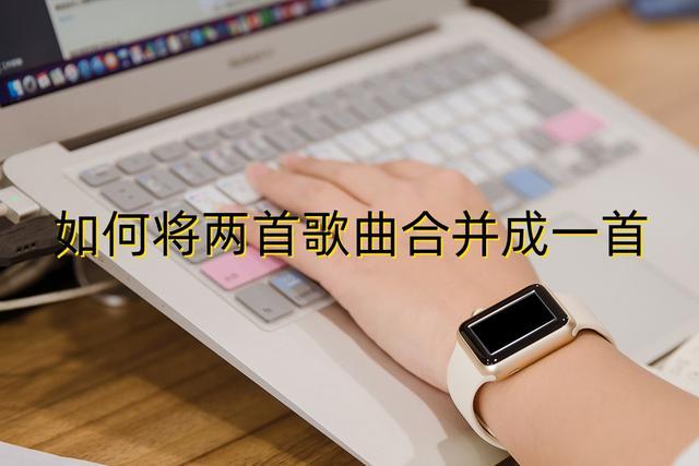 很多歌曲混成一首歌