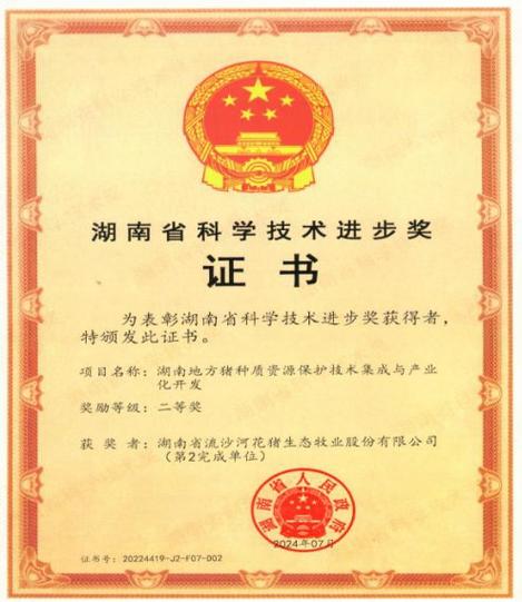 广西流沙科技