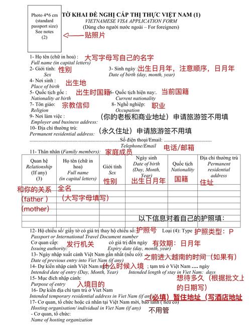 cf手游越南服辅助脚本图标