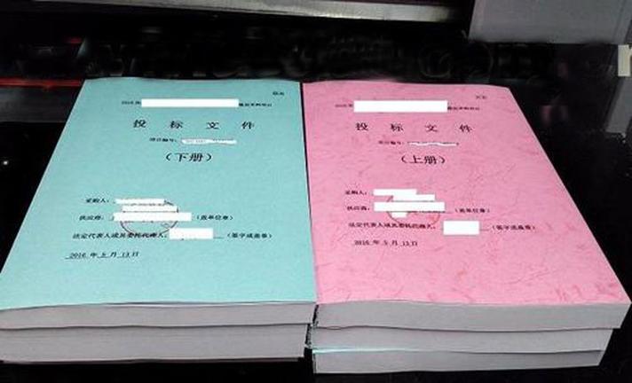 标书中金额的正确填写