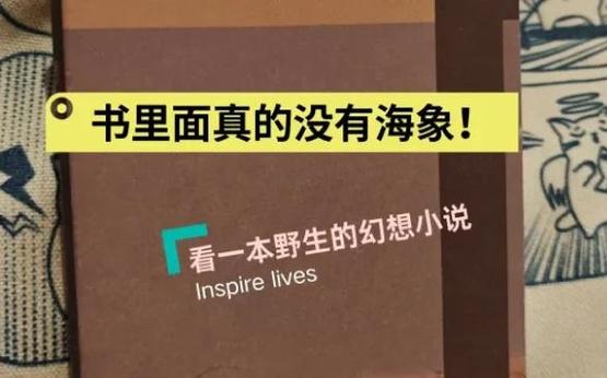 小说触感