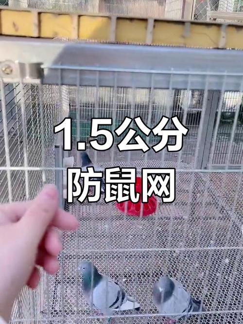 安装田鼠网