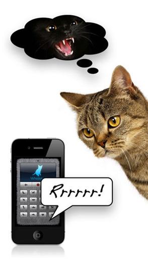 猫语翻译器(中文)