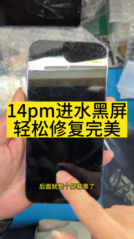 手机进水黑屏能恢复吗