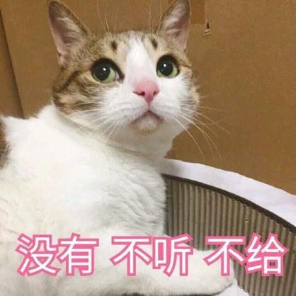 不给表情包