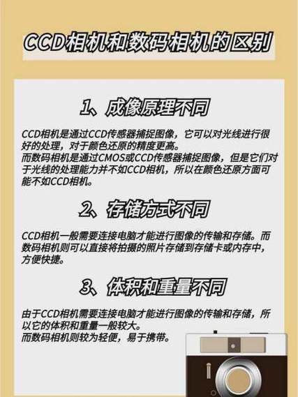 女生说ccd怎么幽默回