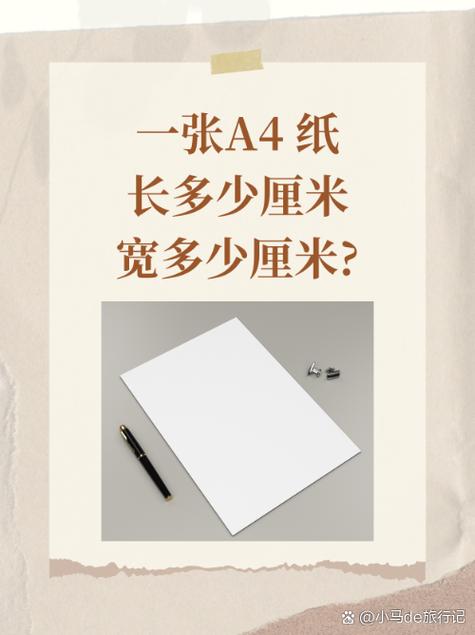 a4画布大小是多少