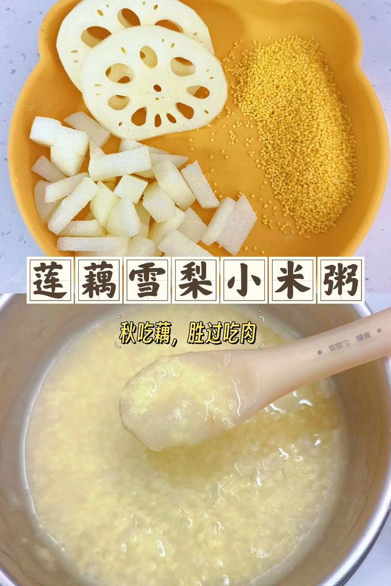 莲菜可以和小米大米绿豆一起煮粥吗缩略图