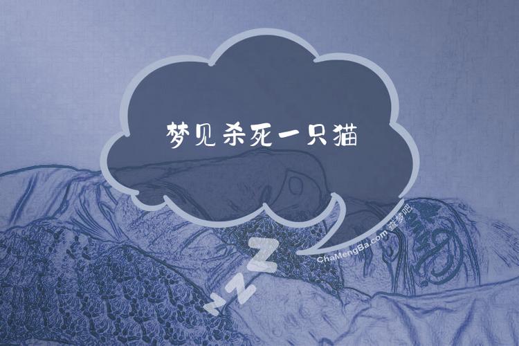 梦见一只打不死的猫