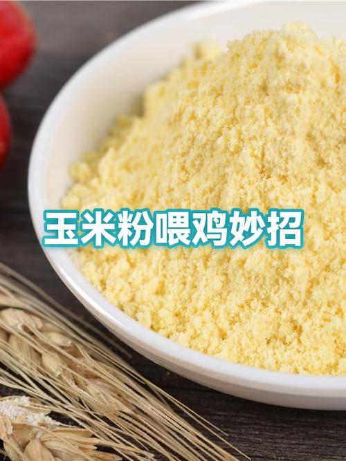 玉米粉最懒人的做法
