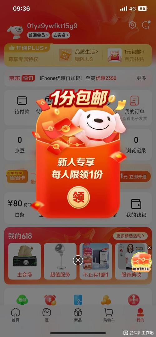 京东商城一分钱购物网
