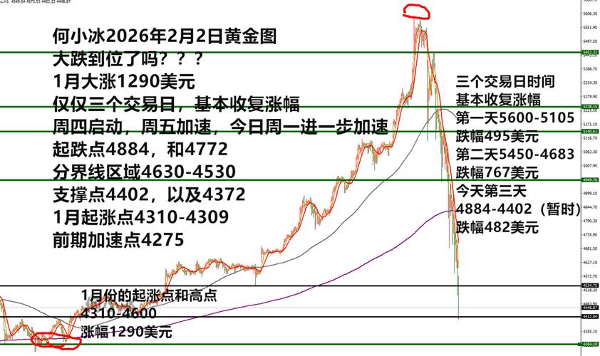 金锣集团市值多少钱