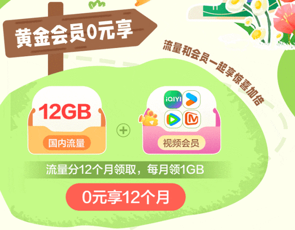 国内限定性流量用完