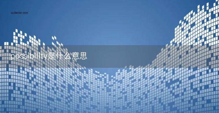 possibility翻译