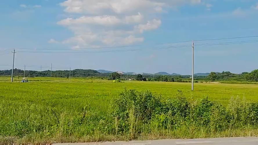 summer-田舍生活下载