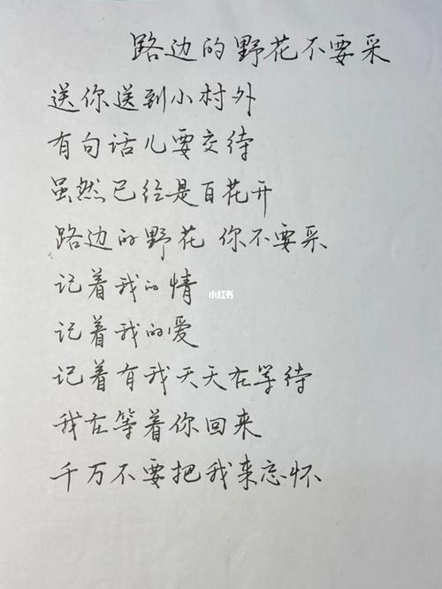 粗口路边的野花骚歌词缩略图