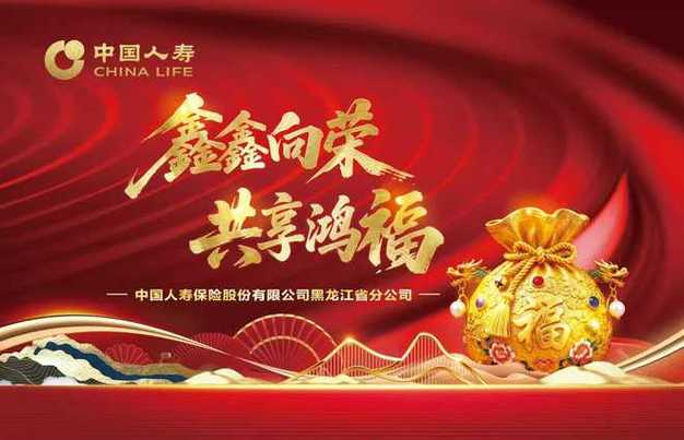 国寿鑫鸿福养老年金保险(分红型)缩略图