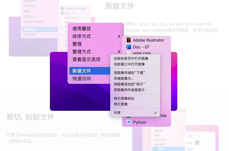 mac文件被覆盖最简单三个步骤