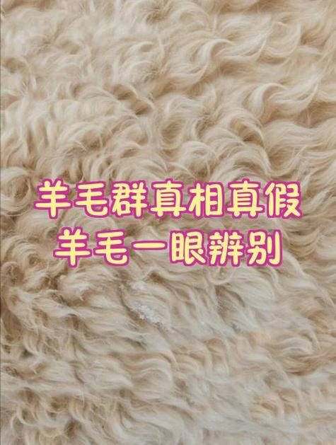 羊毛群里的东西是真的吗
