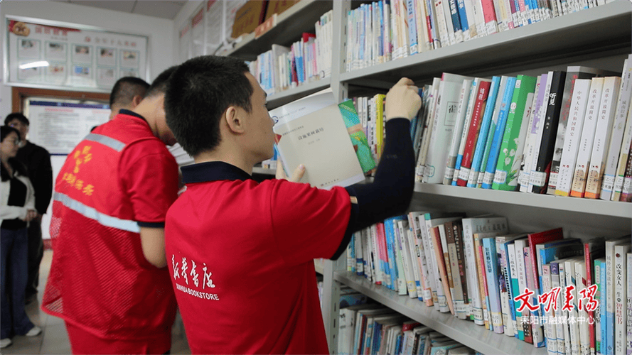 word图片只显示一小条