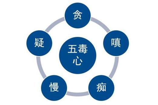 佛教五毒指的是什么