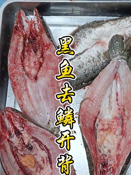 鱼如何快速去鱼鳞
