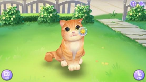 猫筑
