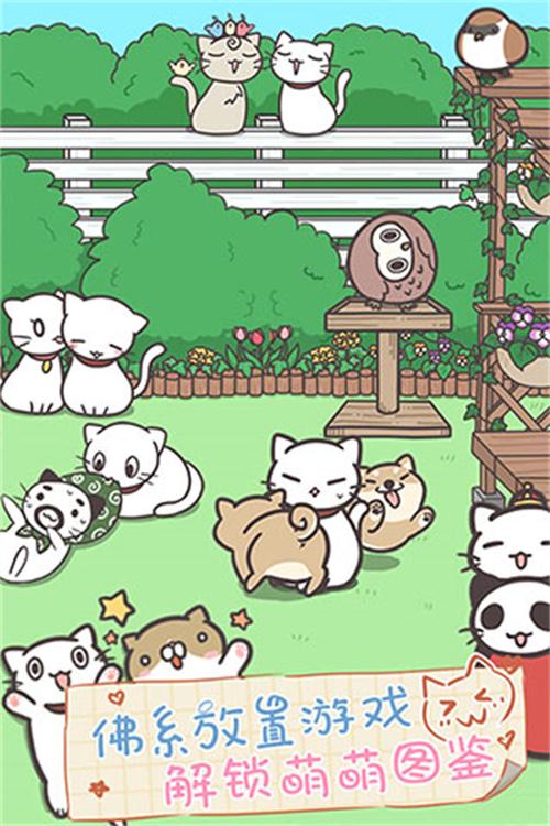 养猫游戏下载安装截图