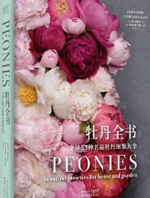 牡丹花图片大全缩略图