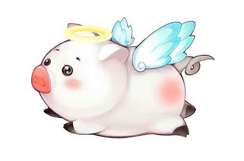 上海天使猪公司