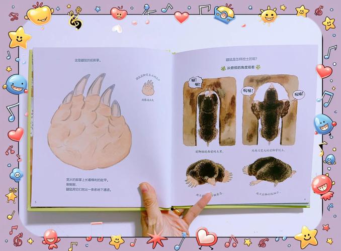 可以养鼹鼠吗