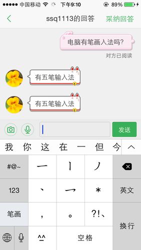 ipad笔画输入设置方法