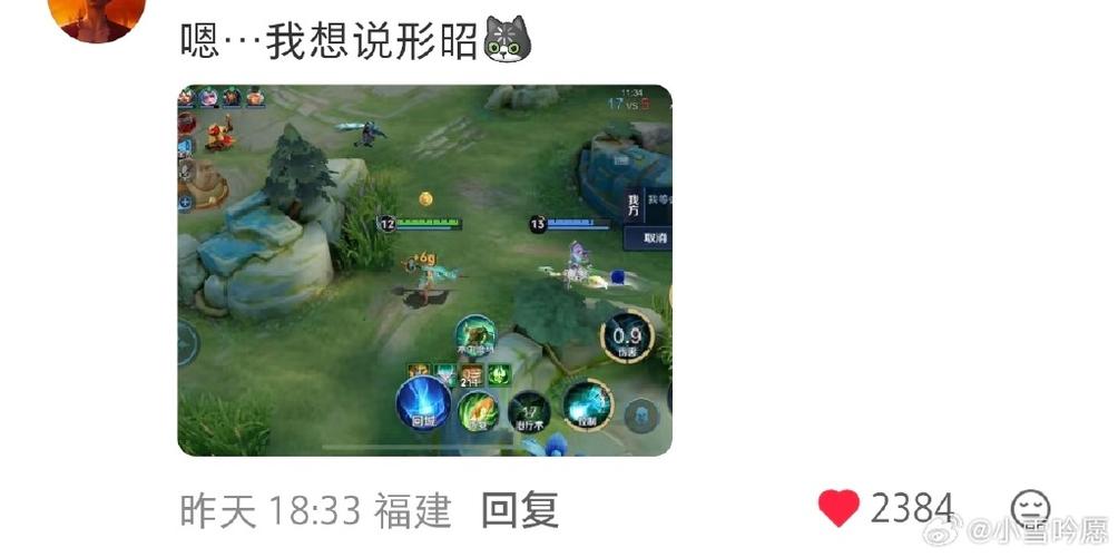 王者语音识别错误原因