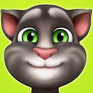 我的汤姆猫