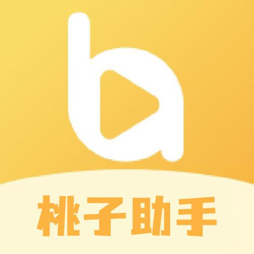 桃文书助手