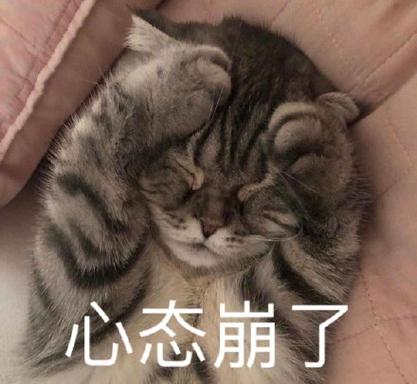心态崩溃表情包缩略图