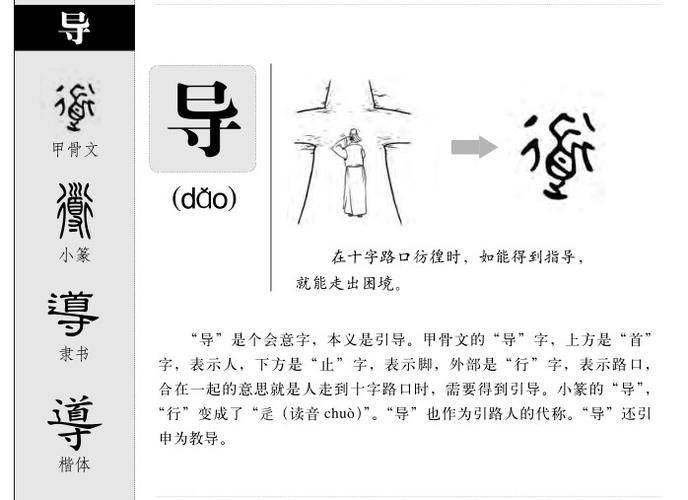 导在性方面的意思